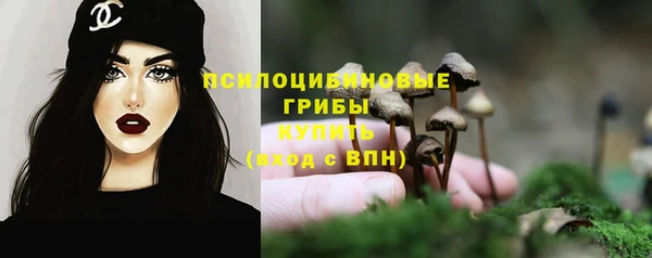 трава Балахна