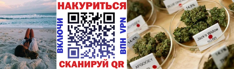 блэк спрут tor  где найти   Голицыно  Каннабис планчик 